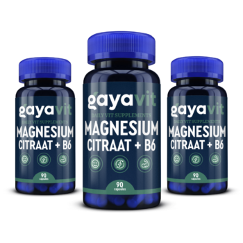 magnesium b6 gayavit dailyvit
