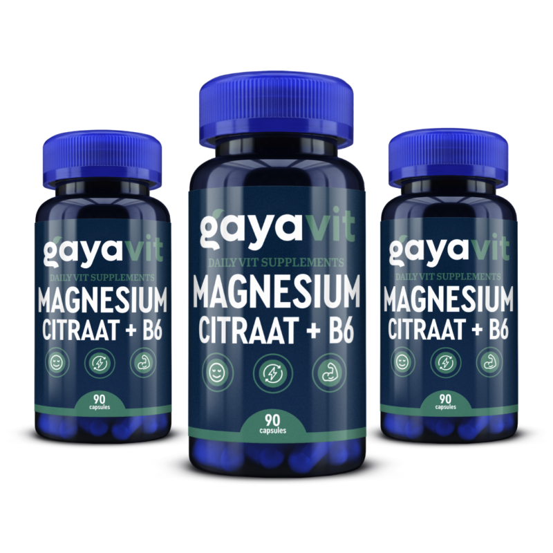 magnesium b6 gayavit dailyvit